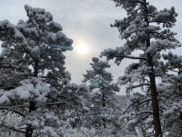 Chapel Trail